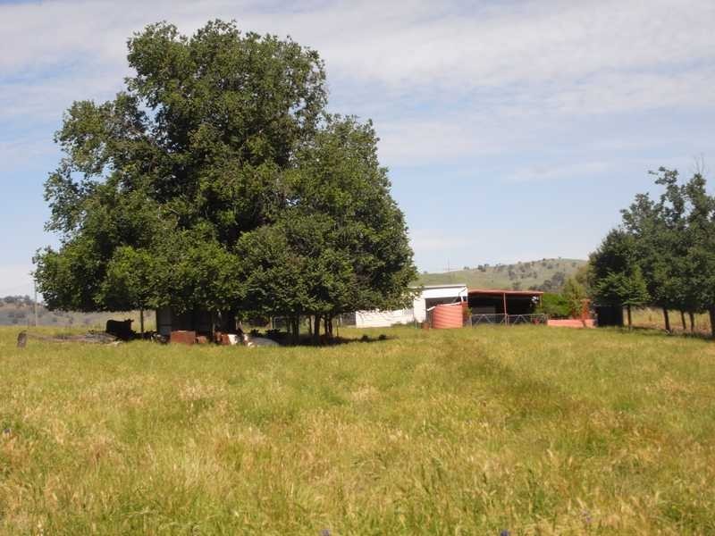 1771 Darbalara Road, Gundagai NSW 2722