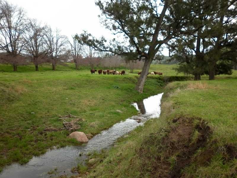 1771 Darbalara Road, Gundagai NSW 2722