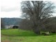 1771 Darbalara Road, Gundagai NSW 2722