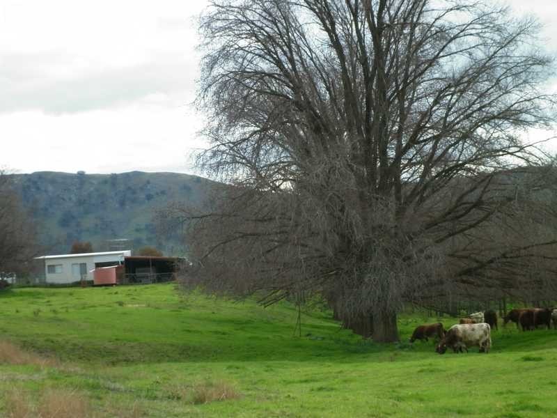 1771 Darbalara Road, Gundagai NSW 2722