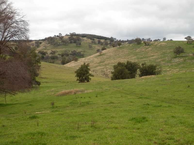 1771 Darbalara Road, Gundagai NSW 2722