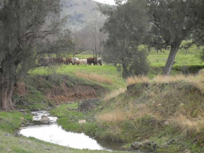 1771 Darbalara Road, Gundagai NSW 2722