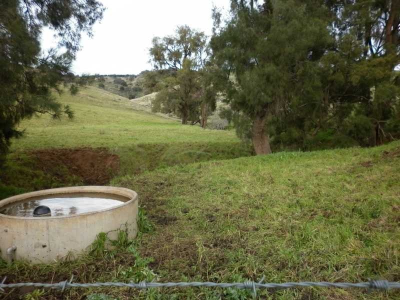 1771 Darbalara Road, Gundagai NSW 2722
