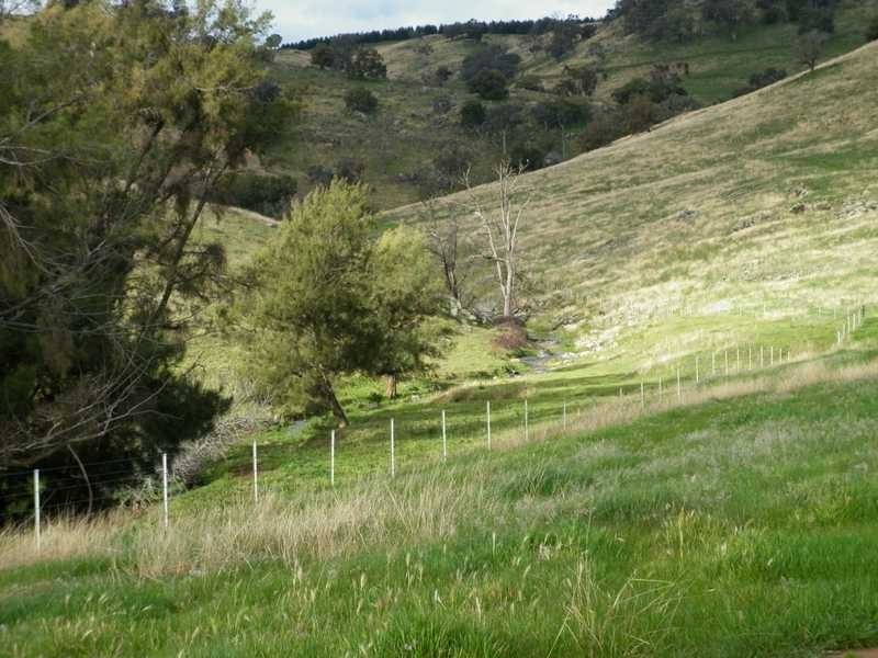 1771 Darbalara Road, Gundagai NSW 2722