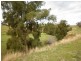 1771 Darbalara Road, Gundagai NSW 2722