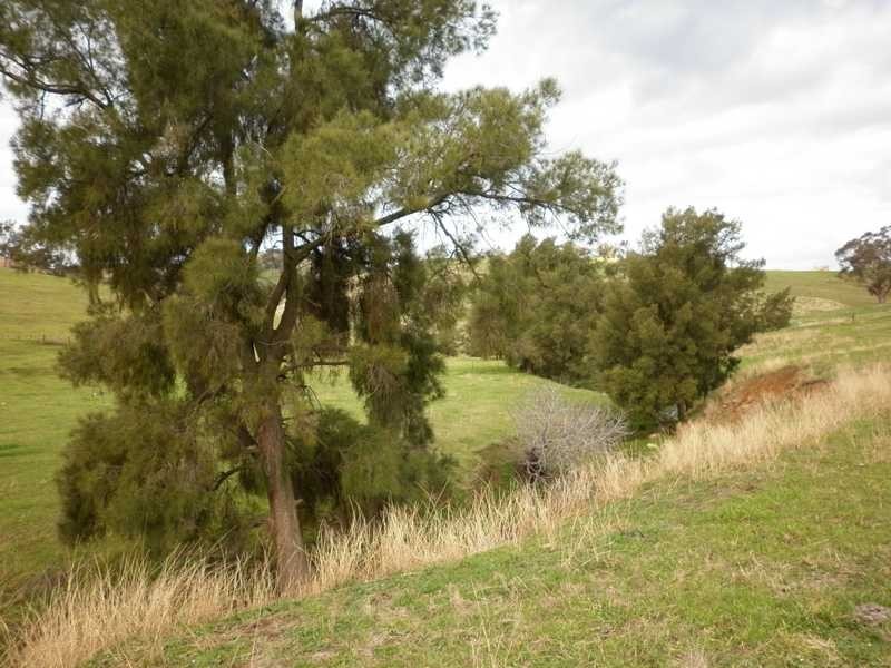 1771 Darbalara Road, Gundagai NSW 2722