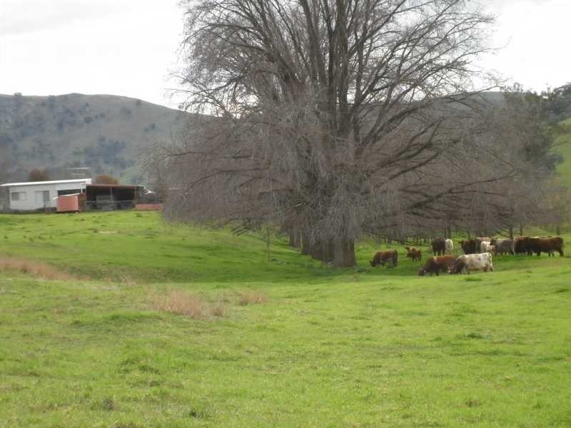 1771 Darbalara Road, Gundagai NSW 2722
