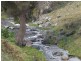 1771 Darbalara Road, Gundagai NSW 2722