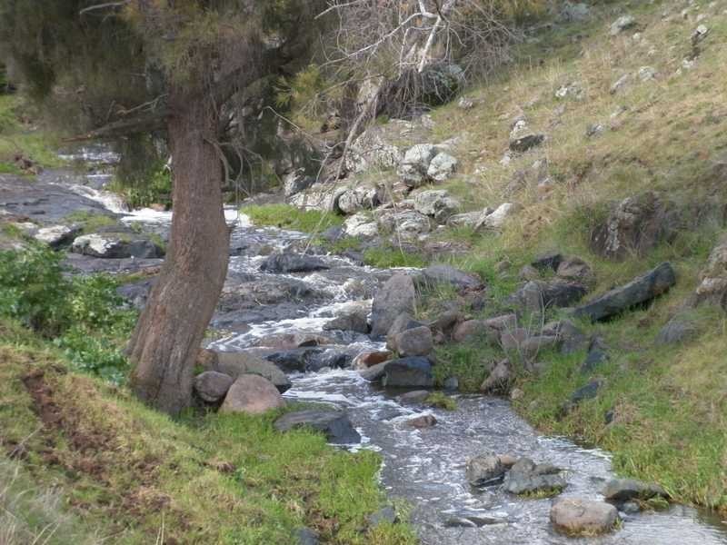 1771 Darbalara Road, Gundagai NSW 2722