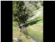 1771 Darbalara Road, Gundagai NSW 2722