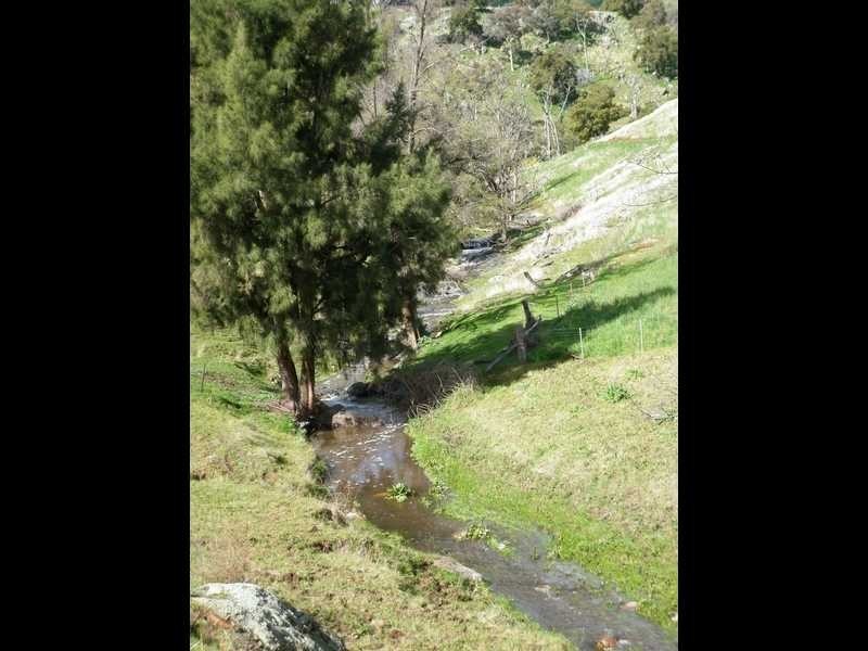 1771 Darbalara Road, Gundagai NSW 2722