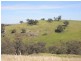 1771 Darbalara Road, Gundagai NSW 2722