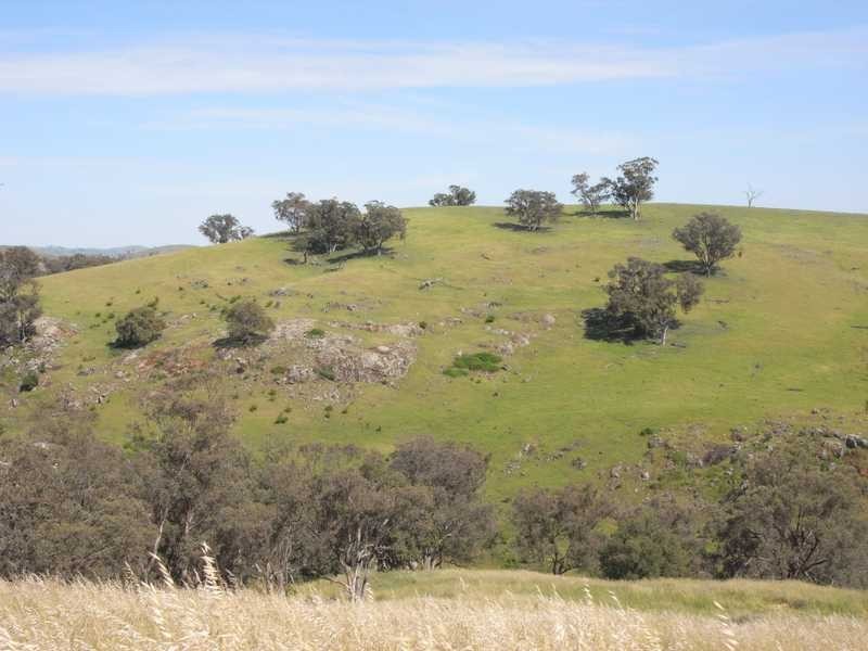 1771 Darbalara Road, Gundagai NSW 2722