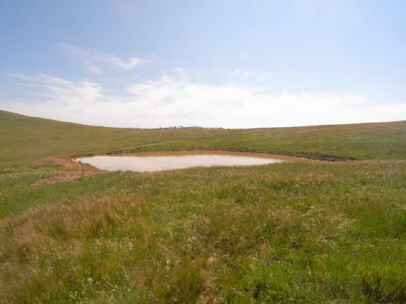 ‘Oaklands’ Hume Highway, Coolac NSW 2727