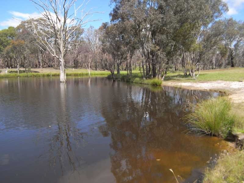 Bongongalong Estates Burra Road, Gundagai NSW 2722