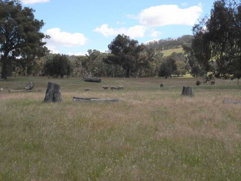 Bongongalong Estates Burra Road, Gundagai NSW 2722