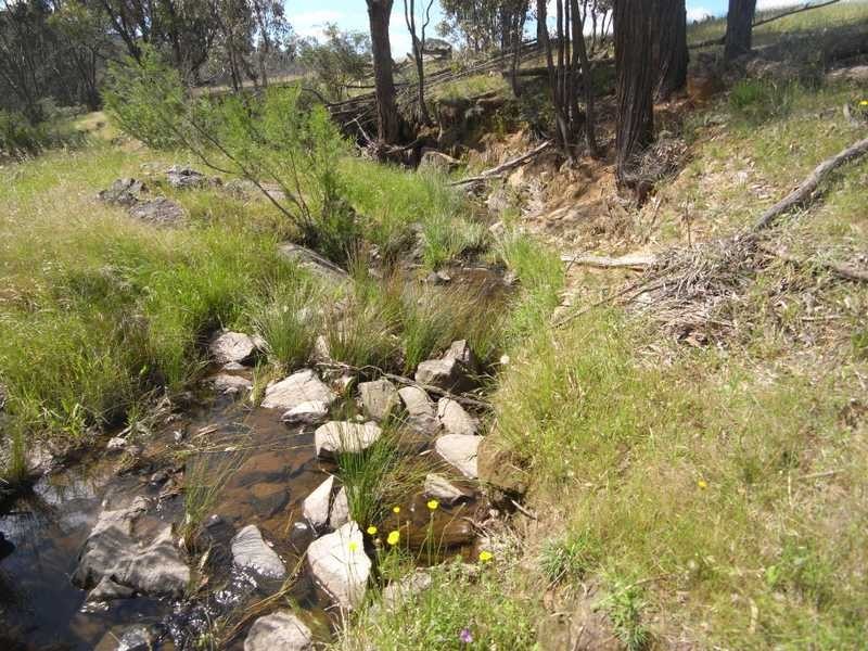 Bongongalong Estates Burra Road, Gundagai NSW 2722