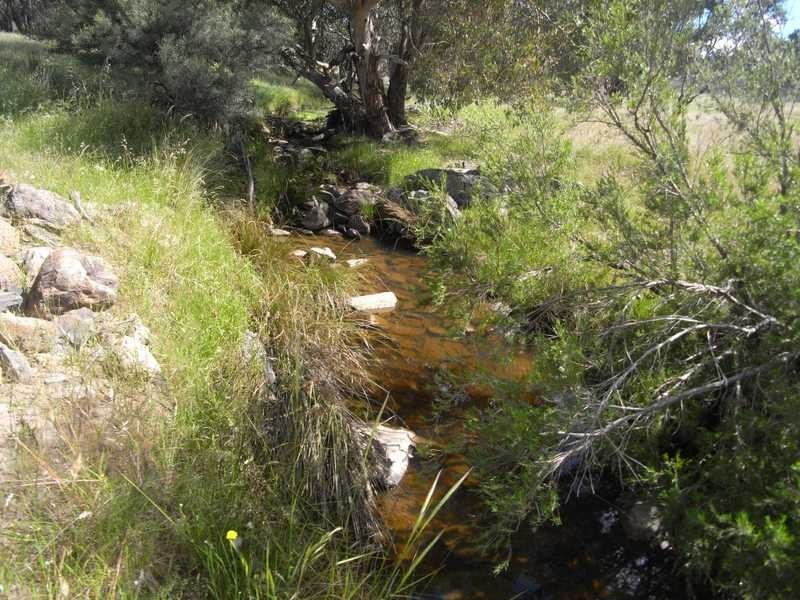 Bongongalong Estates Burra Road, Gundagai NSW 2722