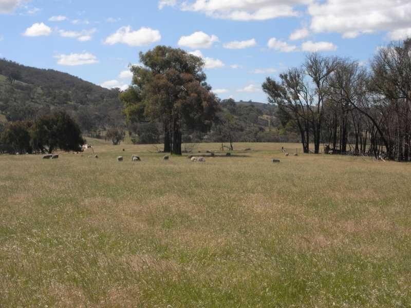 Bongongalong Estates Burra Road, Gundagai NSW 2722