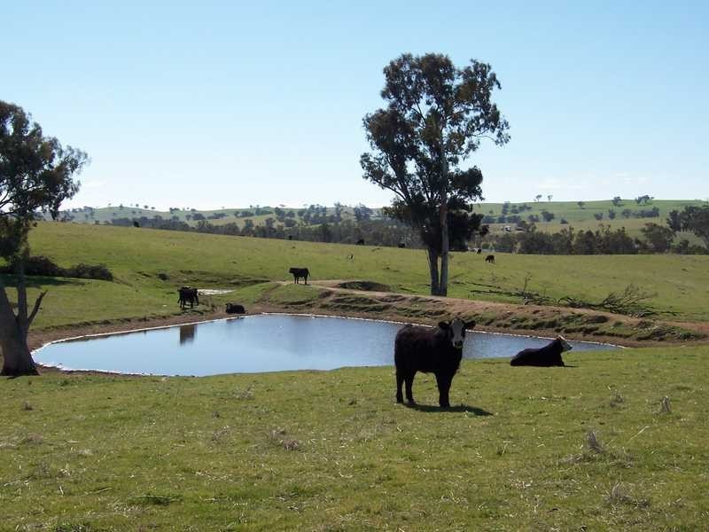 Dorneys Run Burra Road, Gundagai NSW 2722