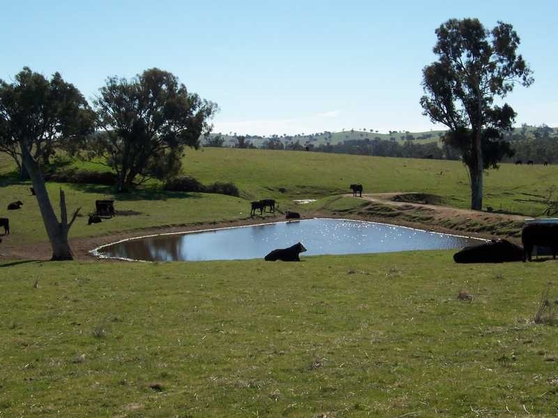 Dorneys Run Burra Road, Gundagai NSW 2722