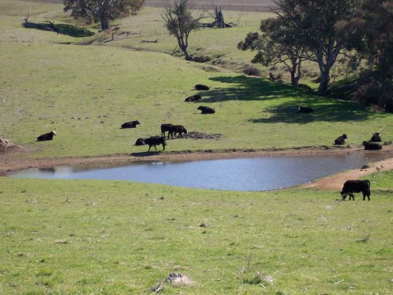 Dorneys Run Burra Road, Gundagai NSW 2722