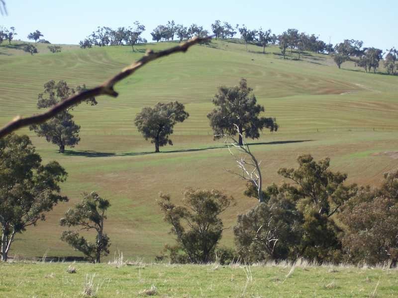Dorneys Run Burra Road, Gundagai NSW 2722