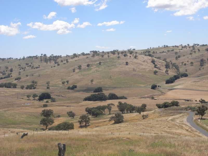 Lot 4/120 Reno Road, Gundagai NSW 2722