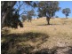 Lot 4/120 Reno Road, Gundagai NSW 2722