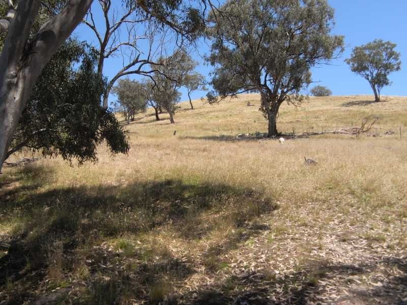 Lot 4/120 Reno Road, Gundagai NSW 2722