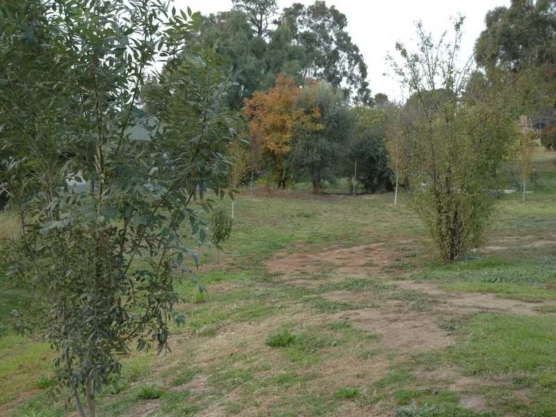 95 Punch Street, Gundagai NSW 2722