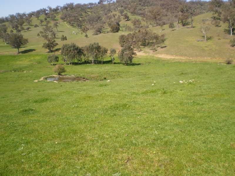 Cobbedah Fitzgerald Street, Minjary NSW 2720