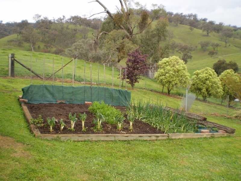 Cobbedah Fitzgerald Street, Minjary NSW 2720