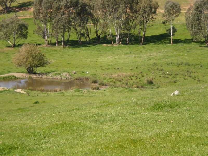 Cobbedah Fitzgerald Street, Minjary NSW 2720