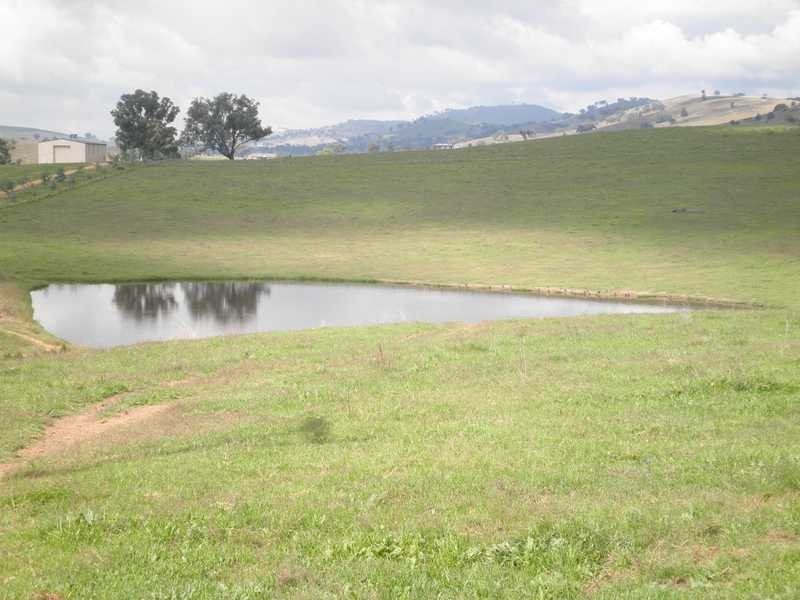 Dorney’s Run Burra Road, Gundagai NSW 2722