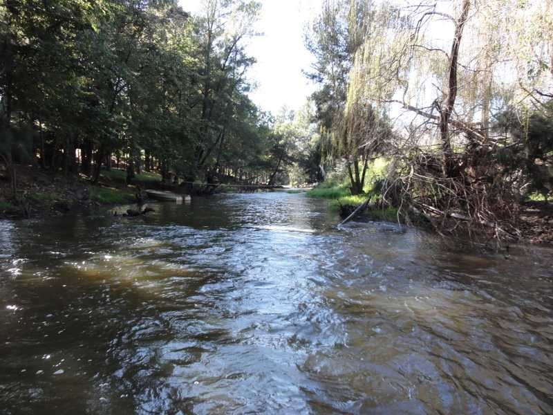 388 Kangaroo Mount Road, Darbalara NSW 2722