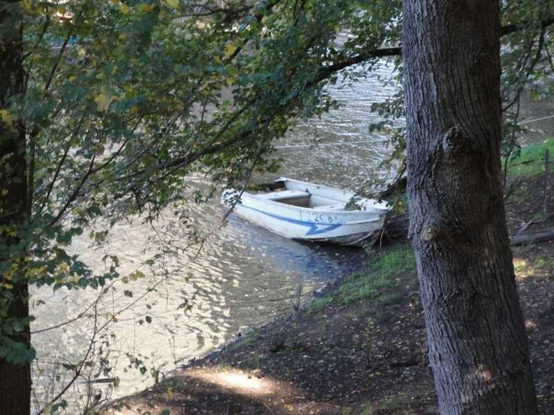 388 Kangaroo Mount Road, Darbalara NSW 2722