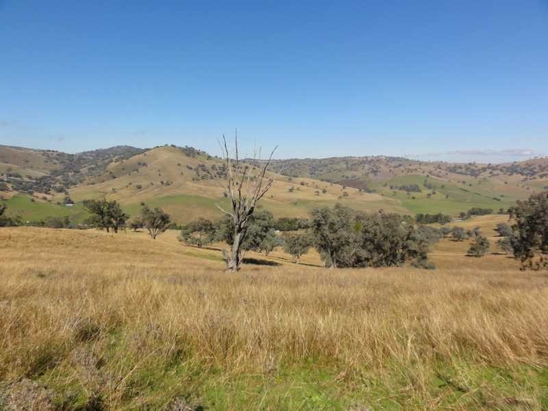 388 Kangaroo Mount Road, Darbalara NSW 2722