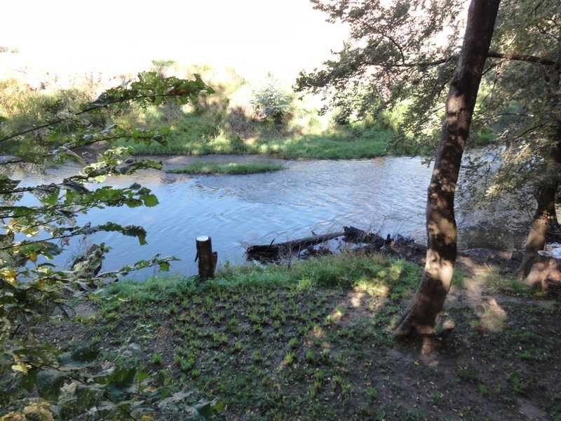 388 Kangaroo Mount Road, Darbalara NSW 2722