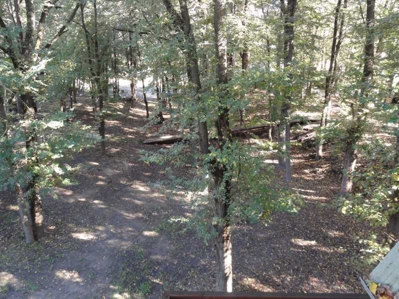 388 Kangaroo Mount Road, Darbalara NSW 2722