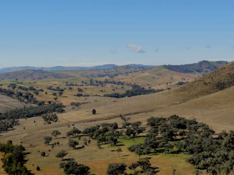 388 Kangaroo Mount Road, Darbalara NSW 2722