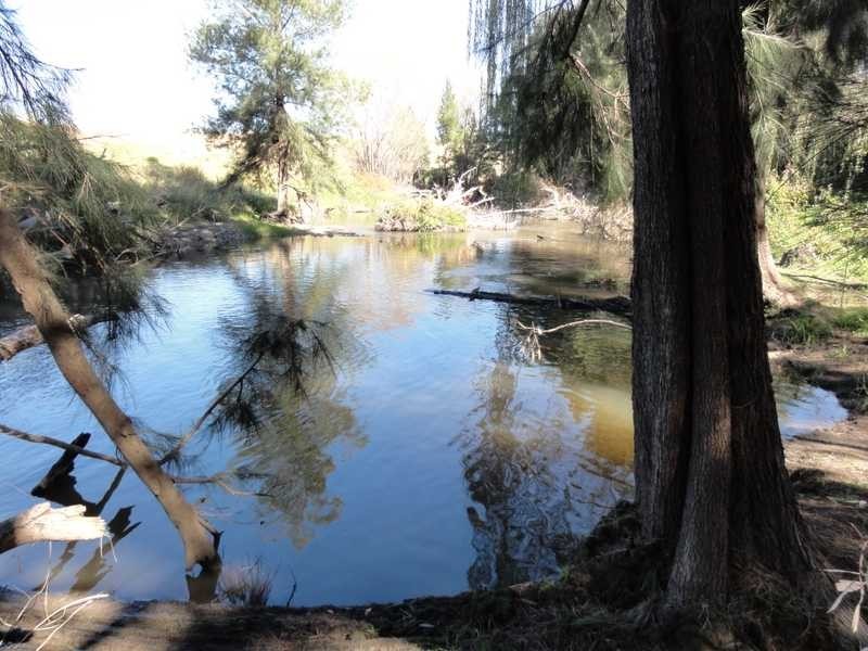 Lot/117 Kangaroo Mount Road, Darbalara NSW 2722