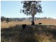 Lot/117 Kangaroo Mount Road, Darbalara NSW 2722