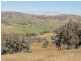 Lot/117 Kangaroo Mount Road, Darbalara NSW 2722