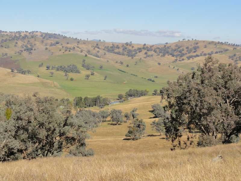 Lot/117 Kangaroo Mount Road, Darbalara NSW 2722