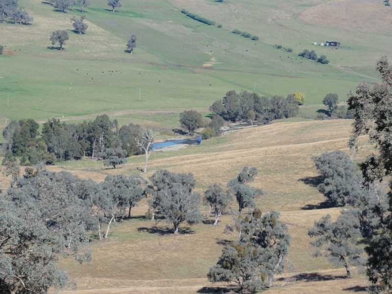 Lot/117 Kangaroo Mount Road, Darbalara NSW 2722