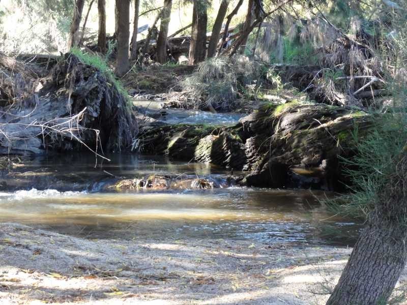 Lot/117 Kangaroo Mount Road, Darbalara NSW 2722