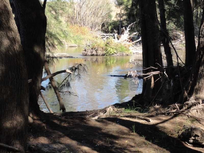 Lot/117 Kangaroo Mount Road, Darbalara NSW 2722