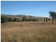 Lot/117 Kangaroo Mount Road, Darbalara NSW 2722