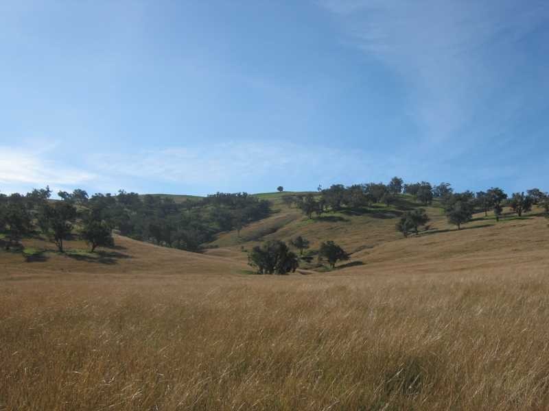 Lot/117 Kangaroo Mount Road, Darbalara NSW 2722